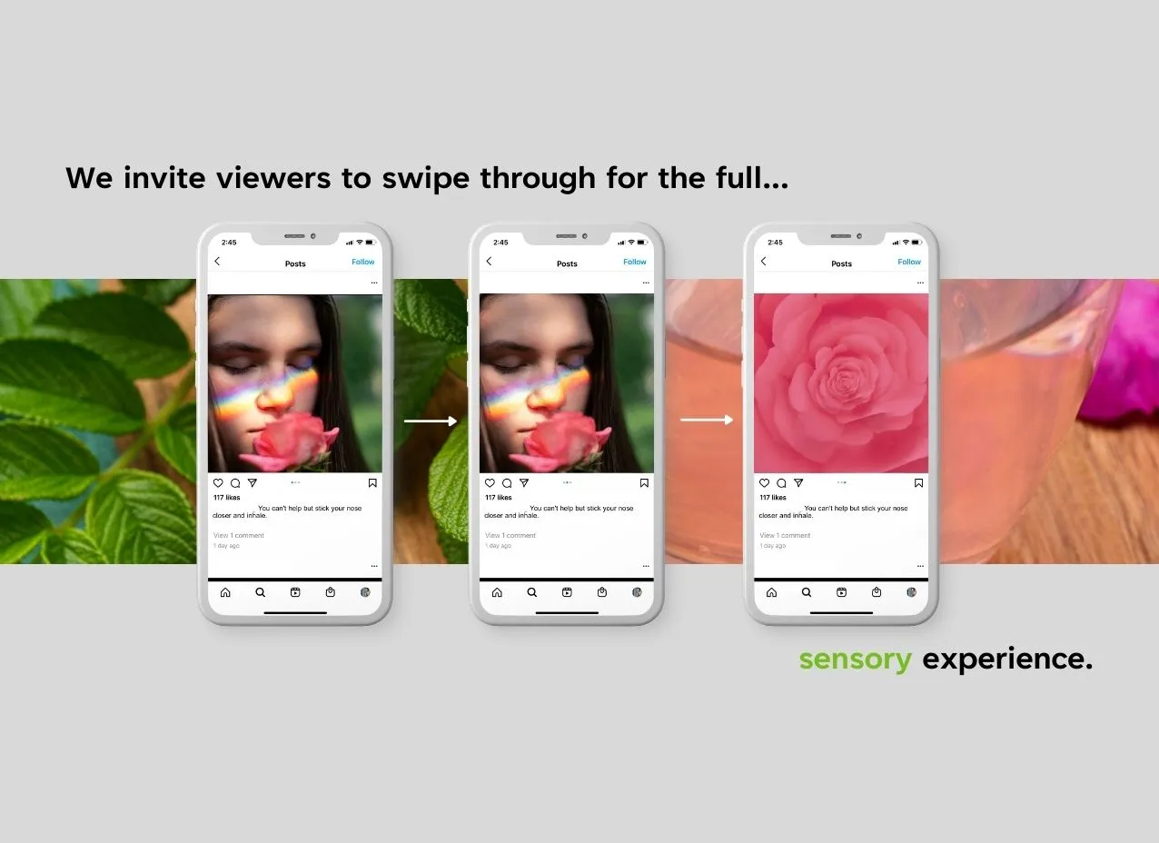 Social Media & Digital Ads