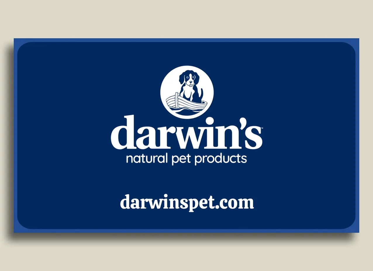 Still from animated video created for Darwin's Pets, Can Dogs Eat Blueberries?
