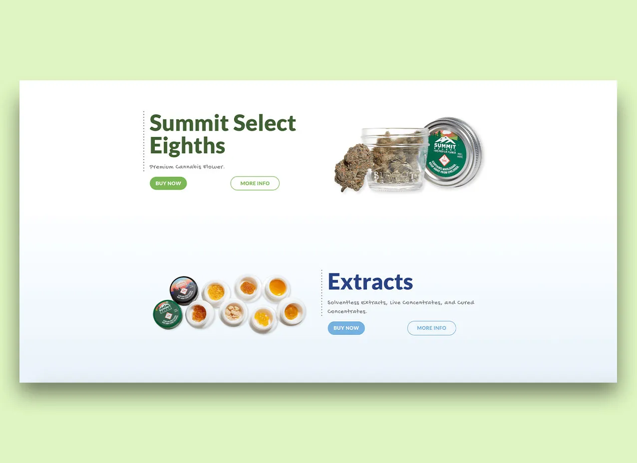 Web design created for Summit, a Designity client.