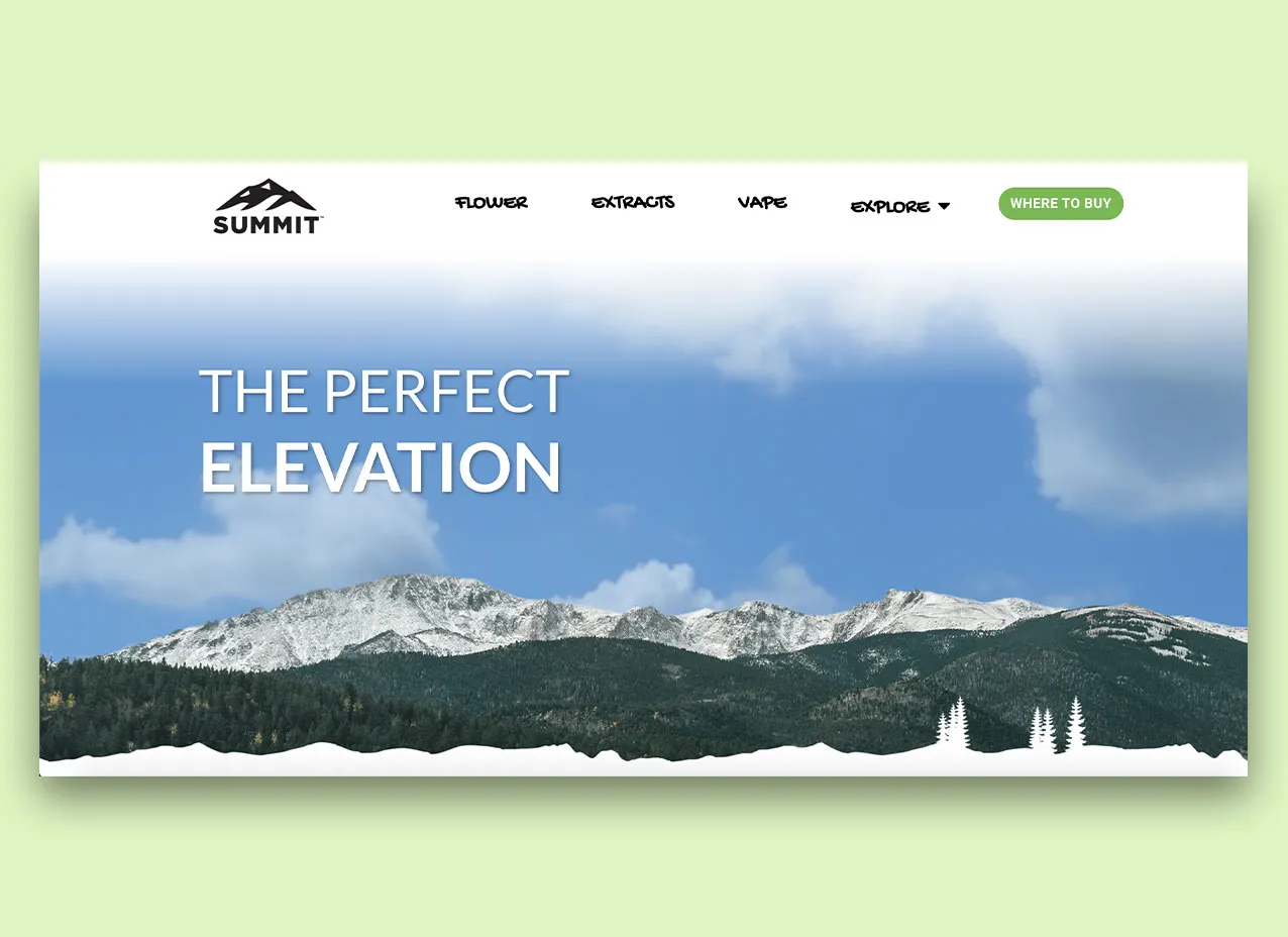 Web design created for Summit, a Designity client.