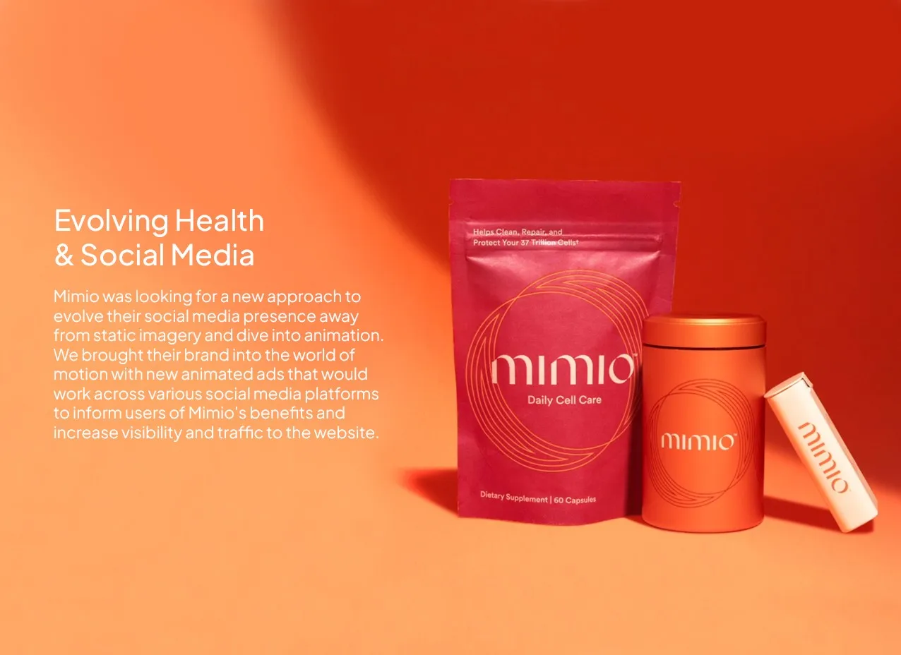 Mimio Motion Graphic & Video by Designity and the project mission for the animated ads.