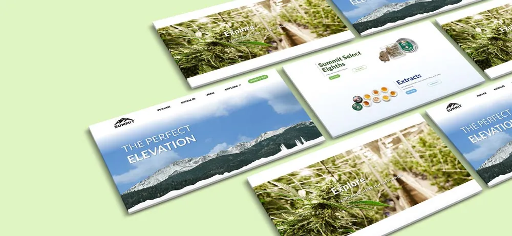 Examples of web design for Summit.