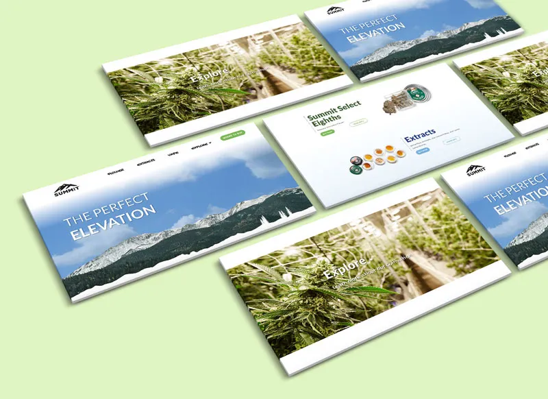 Website Design & Coding for Summit