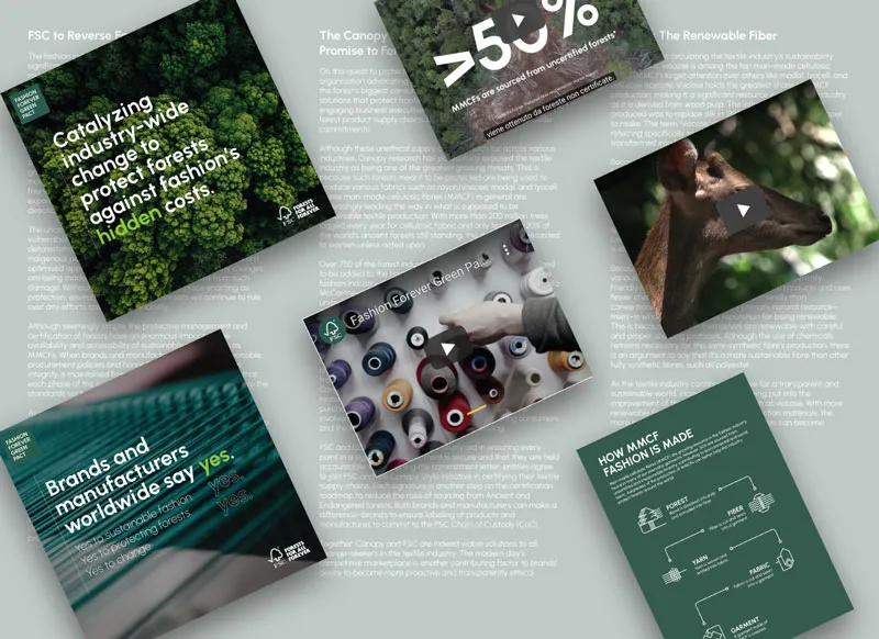 Copy & Content Writing for The Forest Stewardship Council