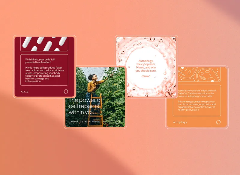 Social media styling for Mimio Health, a Designity client.