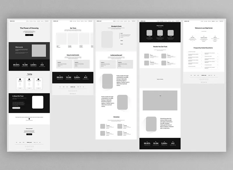Web design created for Immuno Labs.
