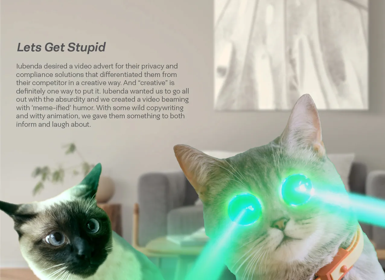 Iubenda Motion Graphic & Video by Designity with overview of the hilarious video.