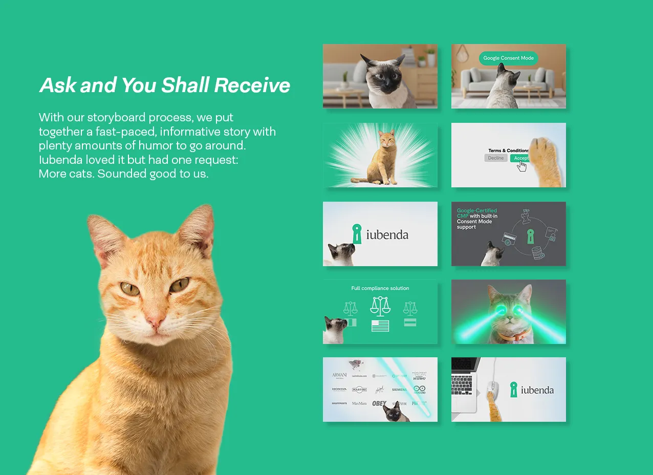 Iubenda Motion Graphic & Video by Designity and storyboard process of the cat video.