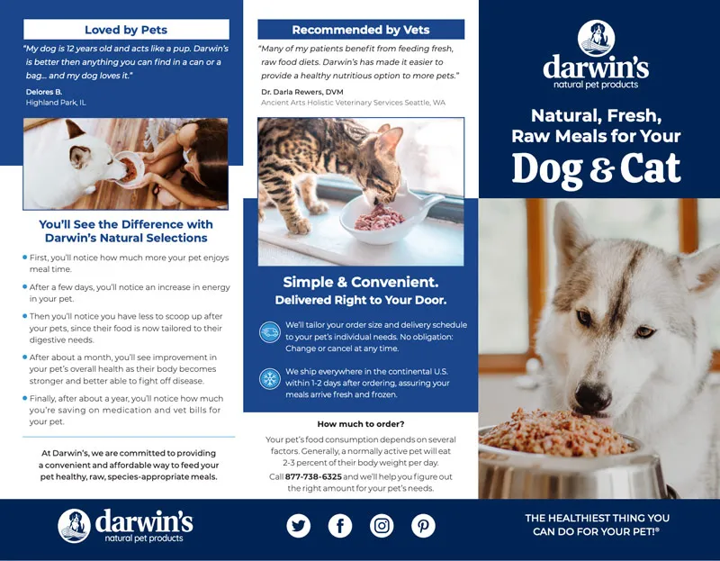 Brochure design created for Darwin's Pets.