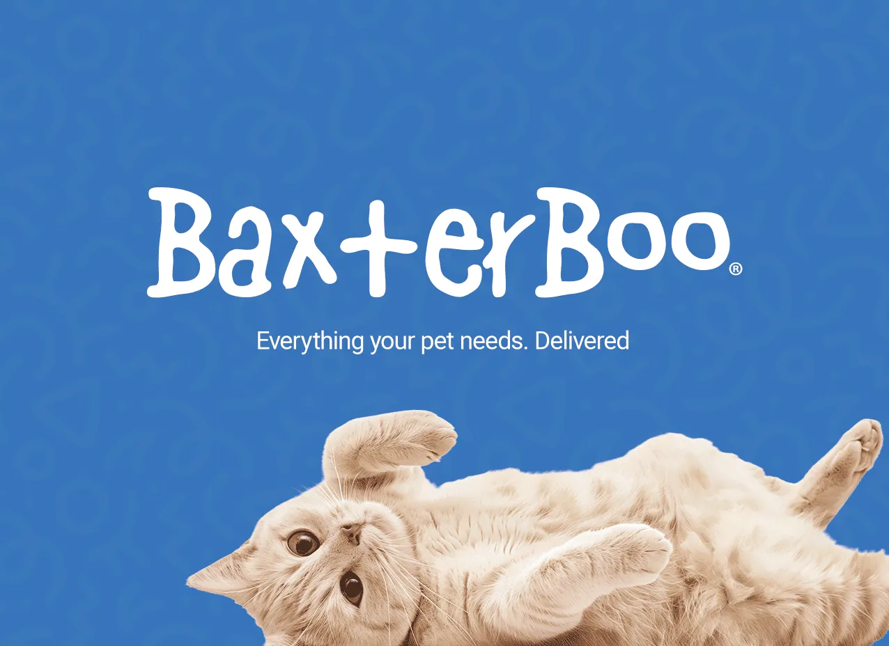 Motion Graphic & Video for BaxterBoo
