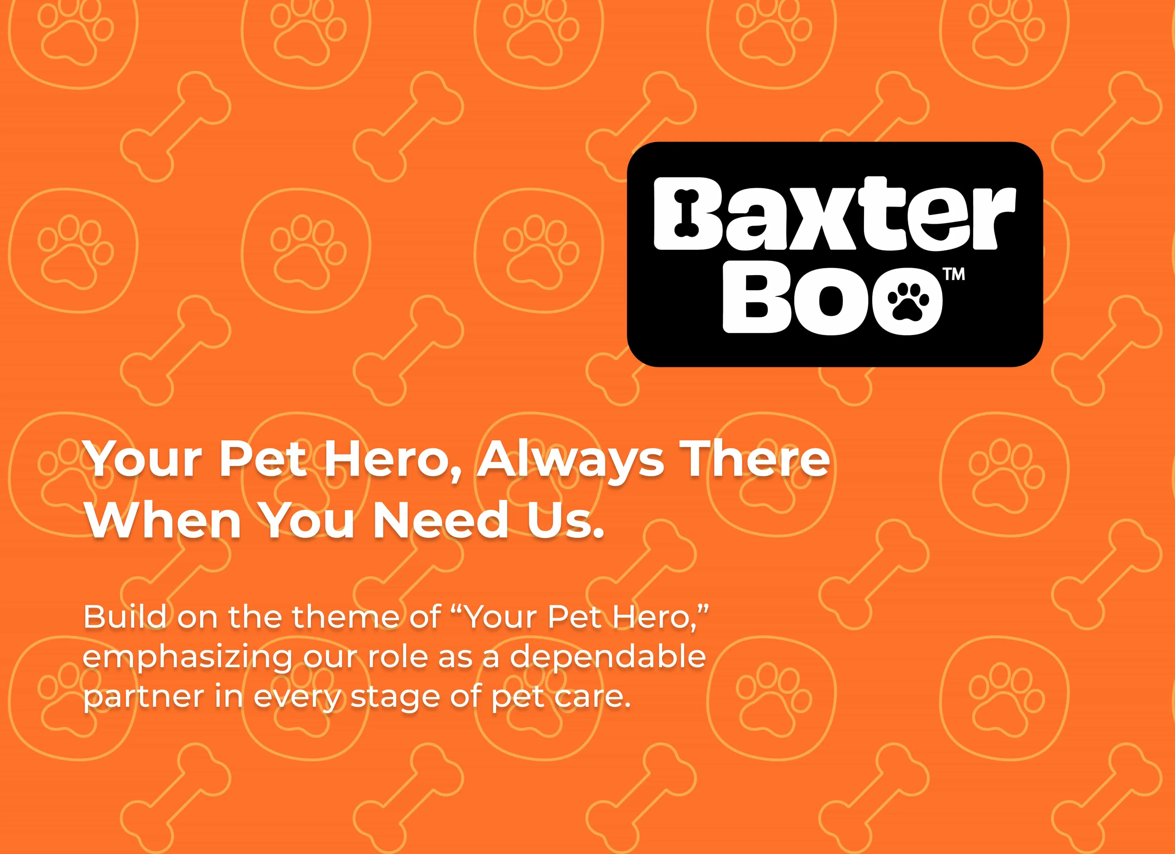 Baxter Boo Rebrand by Designity with mission statement