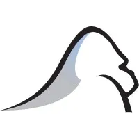 Logo for Silverback Strategies, one of Designity's picks for top Instagram marketing agency in 2025.