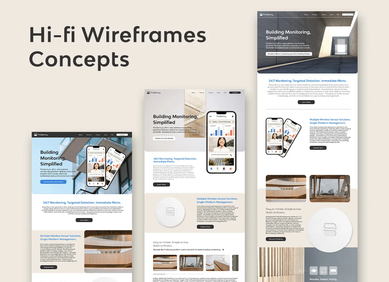 ProSentry website design by designity hi-fi wireframe concepts