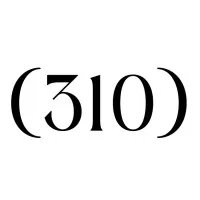 Logo for 310 Creative Inc., a Designity pick for best LinkedIn Ad agency in 2025.