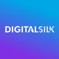 Logo for Digital Silk, one of Designity's picks for top B2B branding agency in 2025.