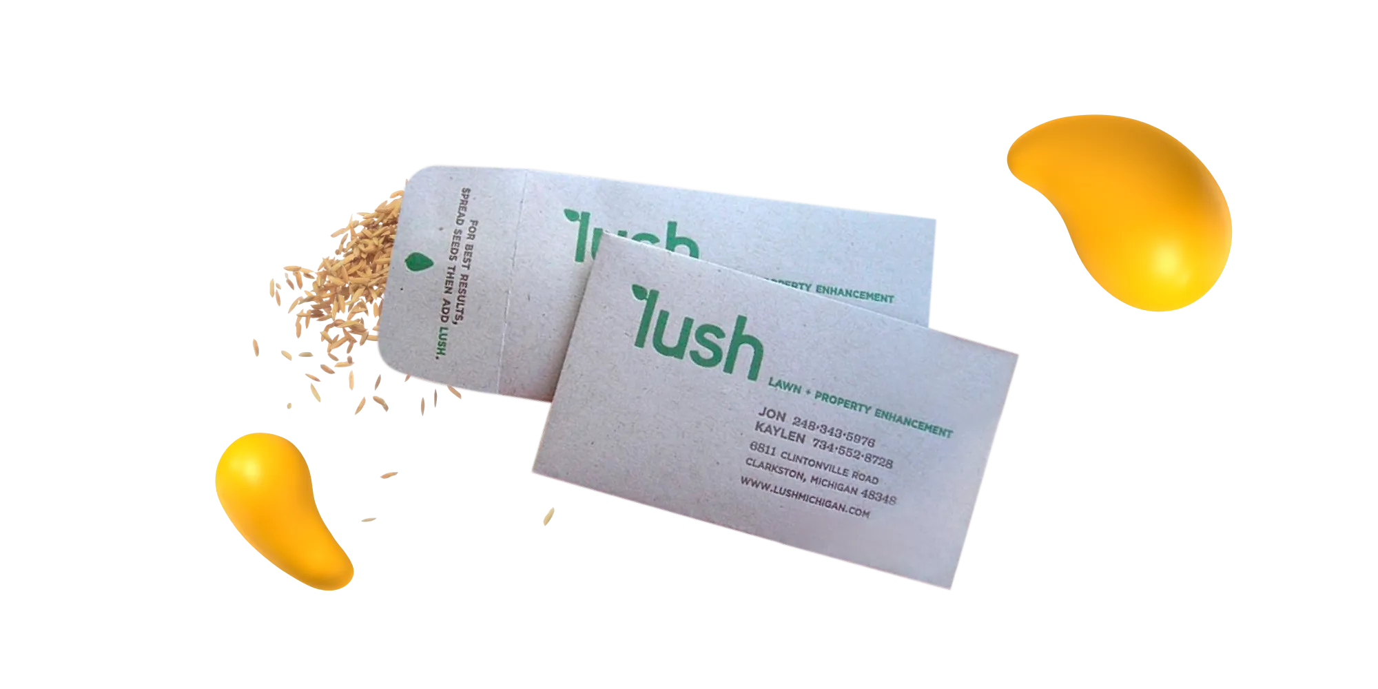 Eco-friendly business cards made from recycled paper with green “Lush” branding.