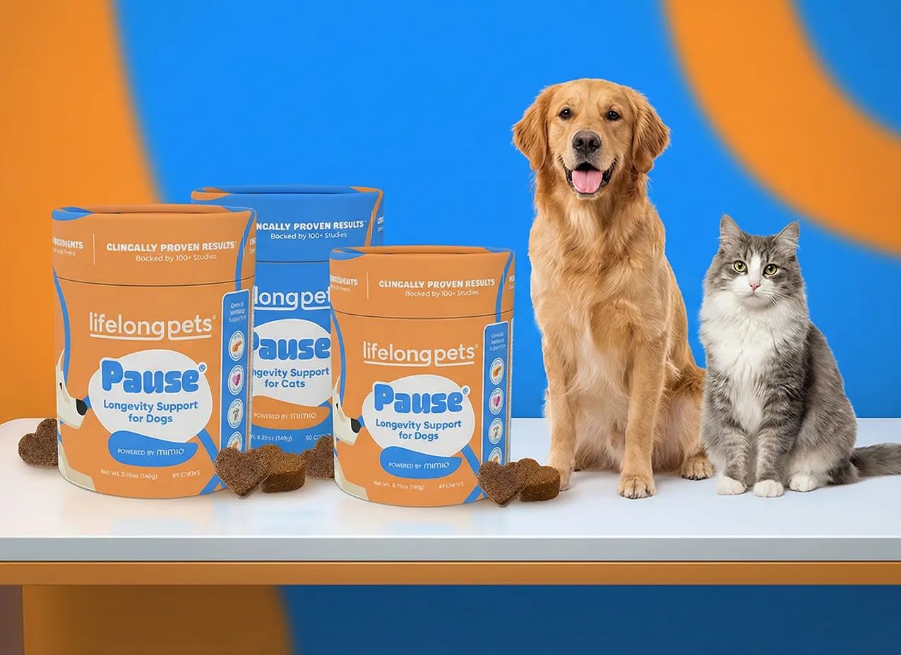 Website Design & Marketing Collateral for Mimio