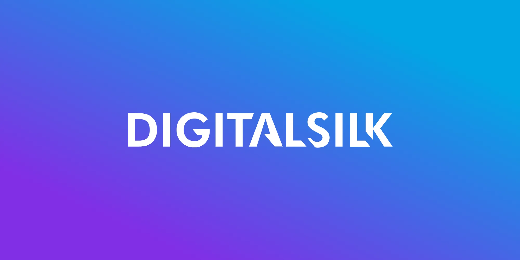 Digital Silk logo, recognized as one of the best web design services for eCommerce and branding