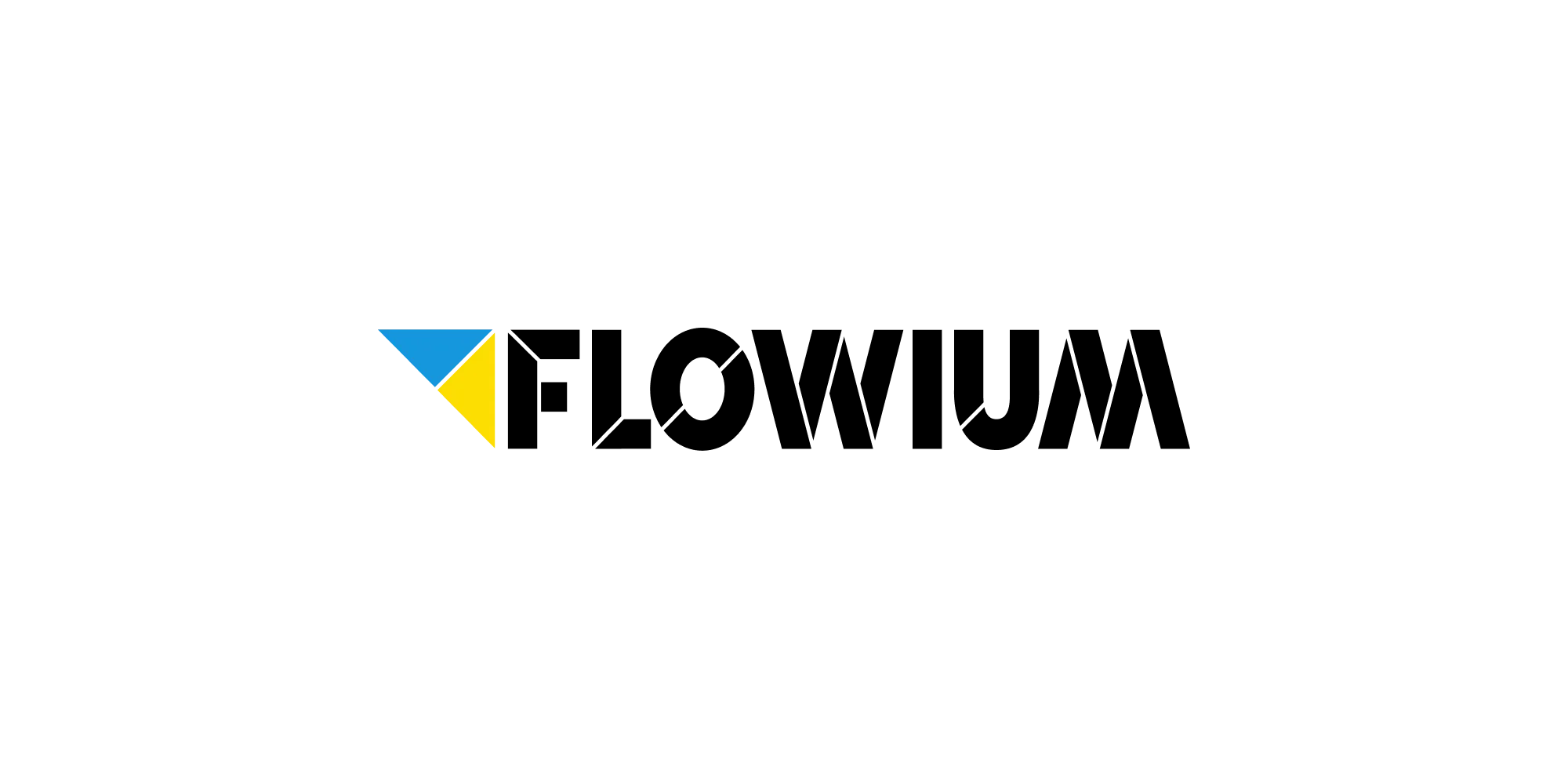 Flowium logo — Klaviyo-focused email marketing agency for eCommerce brands
