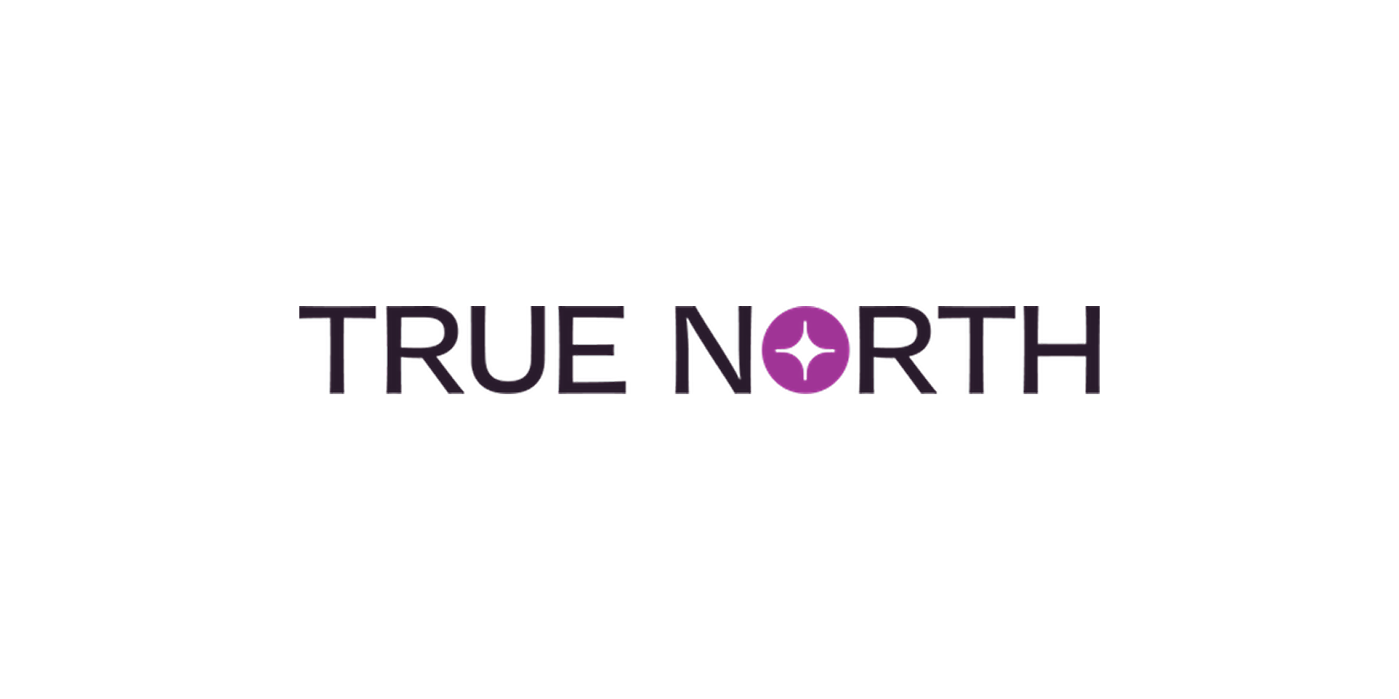 True North healthcare marketing agency logo