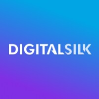 Logo for Digital Silk, one of Designity's picks for top logo design company in 2025.