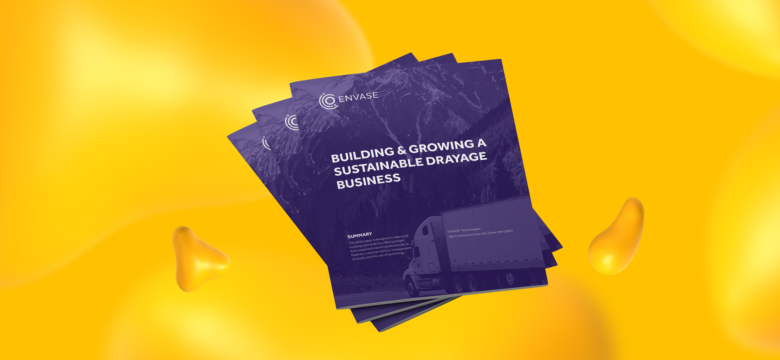 White Paper for Envase, one of Anthony's copywriting projects.