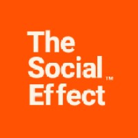 Logo for The Social Effect, a Designity pick for best LinkedIn Ad agency in 2025.