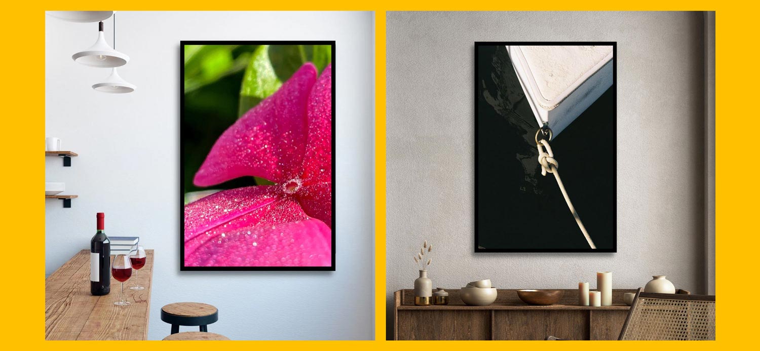 Two samples of framed art, one of a rose petal and another of a closeup of a knot holding a boat to a dock.