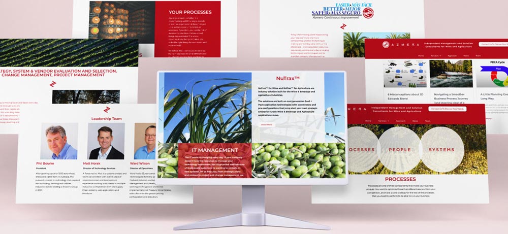 Web design project for Azmera.