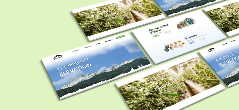 Examples of web design for Summit.