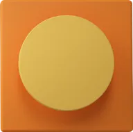A yellow circle inside an orange square.