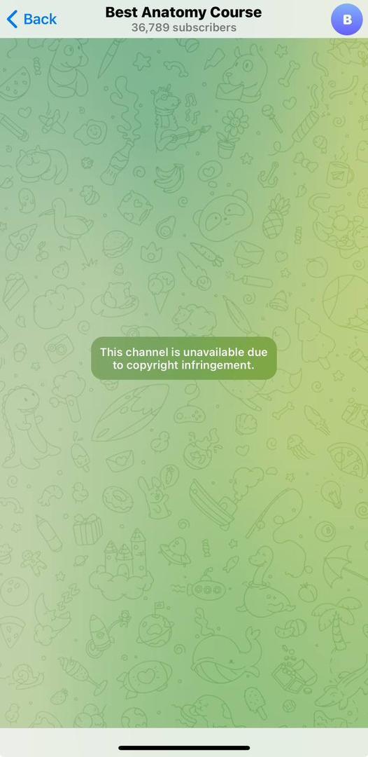 Screenshot showing a full Telegram piracy channel taken down