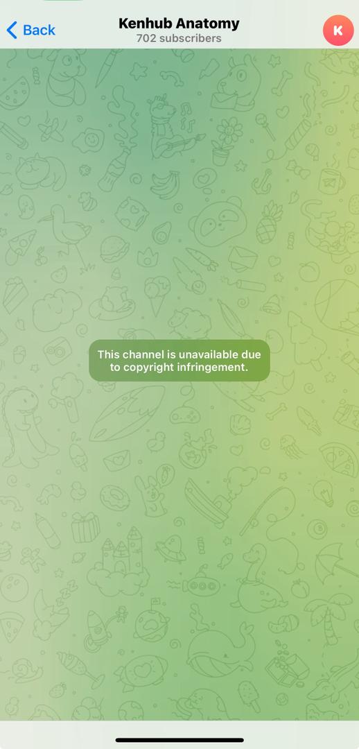 Screenshot showing successful takedown for another client's content on Telegram