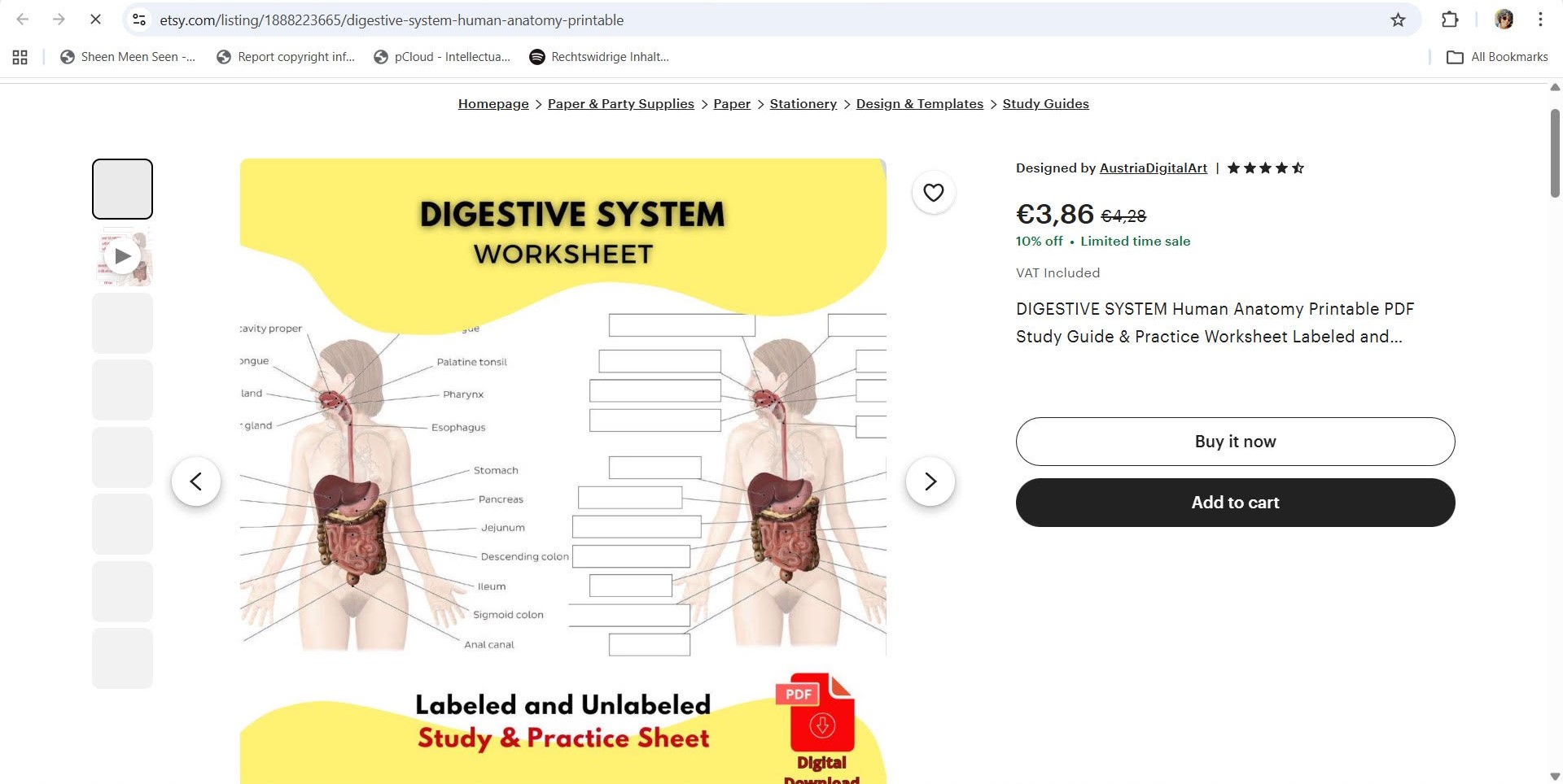 Screenshot of infringing Etsy listing before takedown