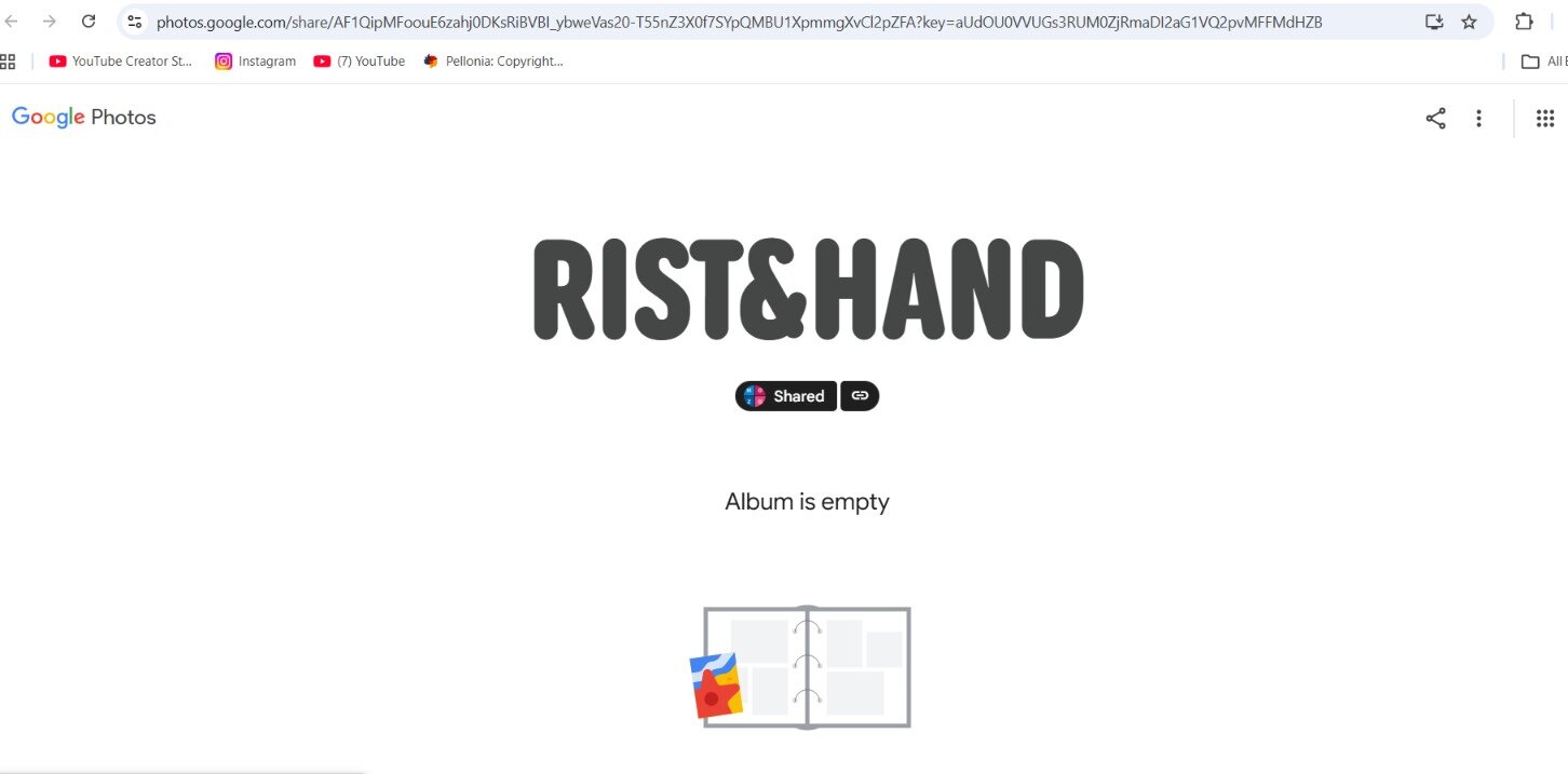 Google Photos takedown documentation
