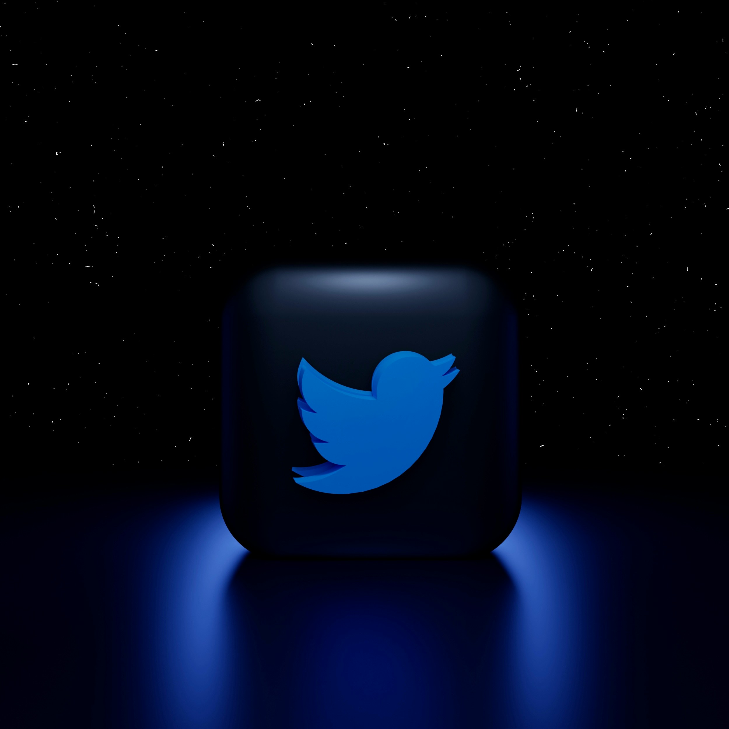 Stopping Twitter Impersonation: How Pellonia Protects Your Identity on X