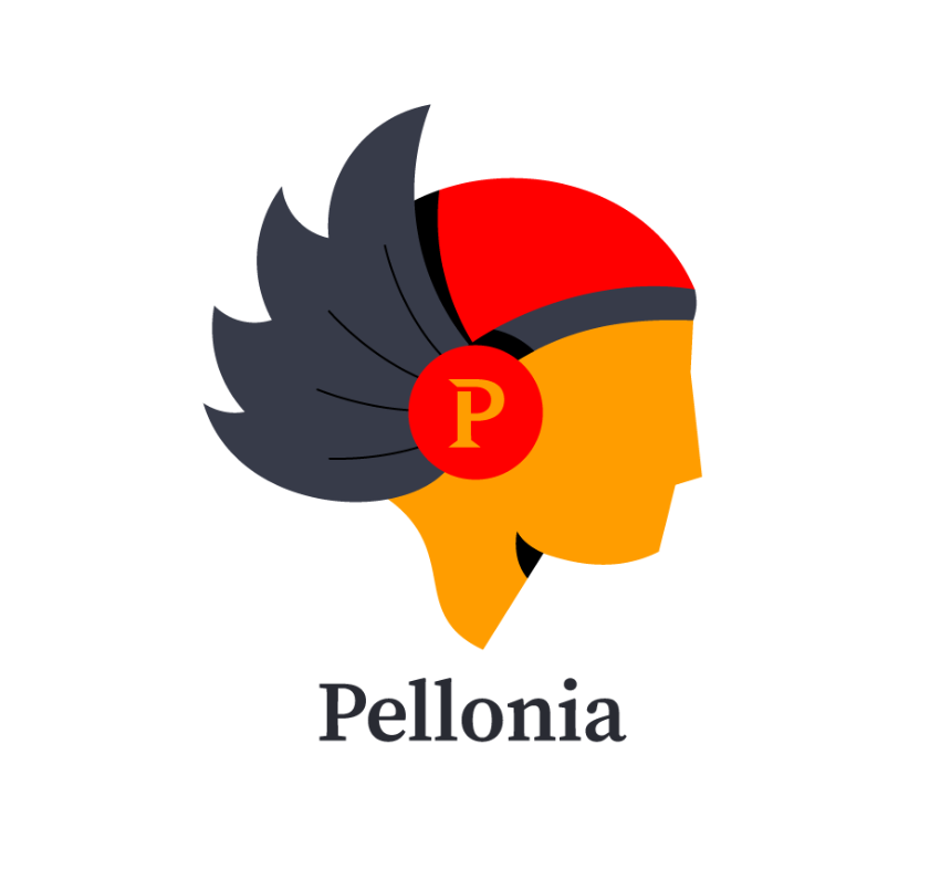 A Month in IP Protection: December 2025 Enforcement Highlights by Pellonia