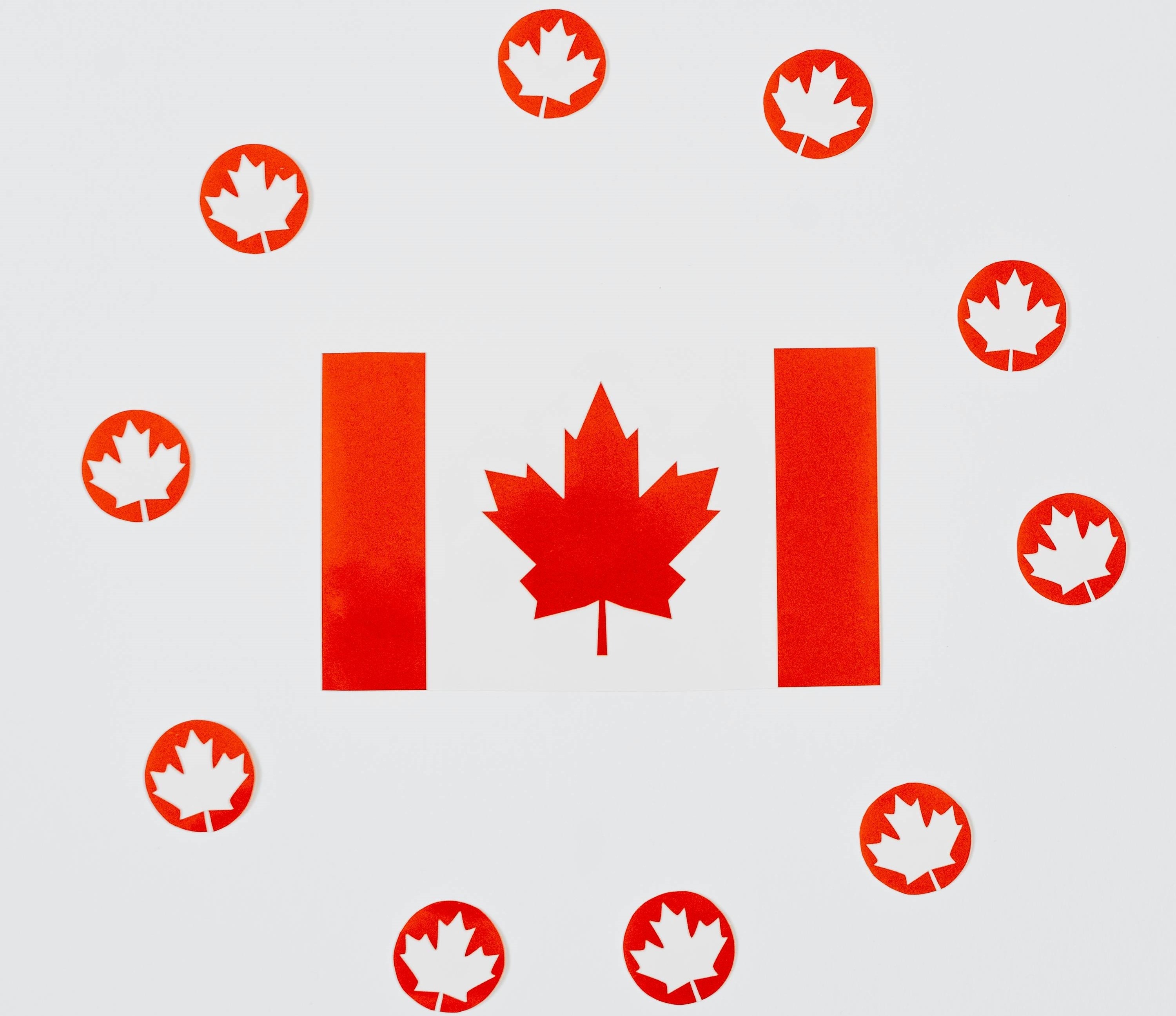 Copyright Registration in Canada: Protect Your Work Fast with Pellonia + Samples