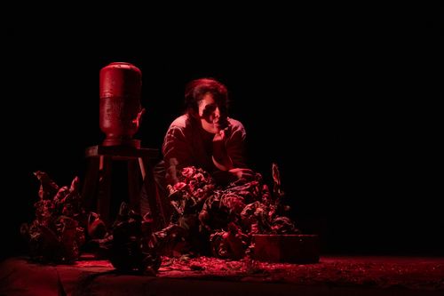 bilde Heidi Hattestein