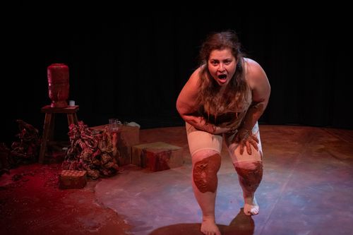 bilde Heidi Hattestein