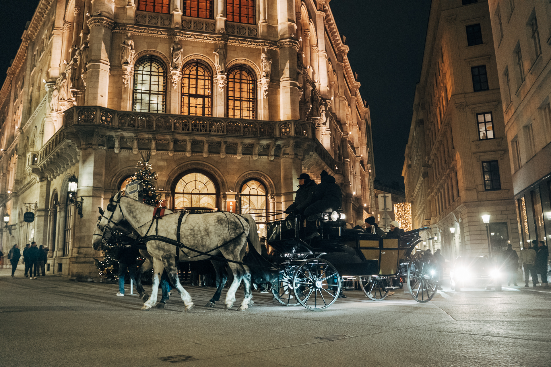 City Sightseeing Winter Special in Wien