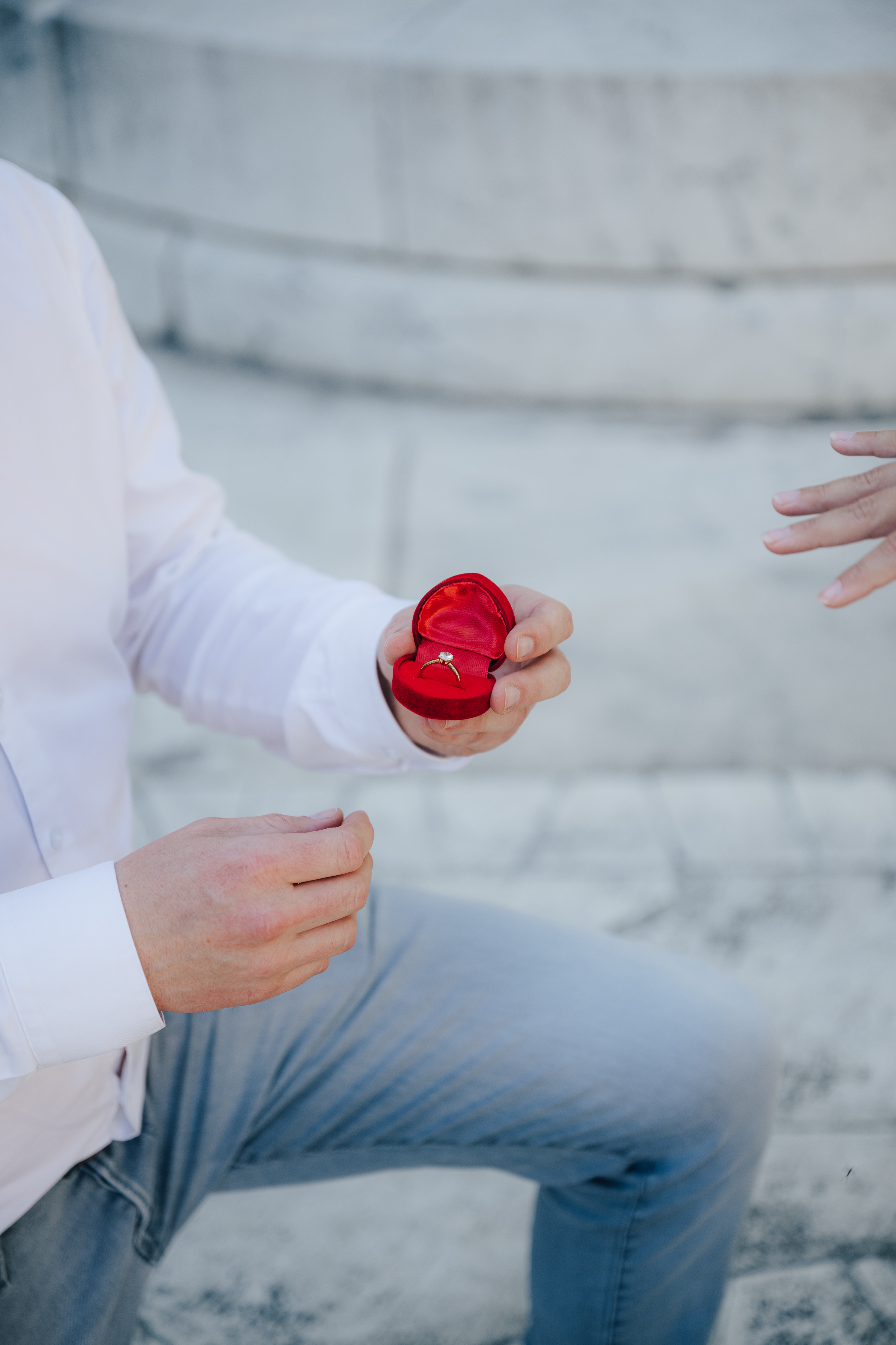 Wedding proposal in a traditional Fiaker