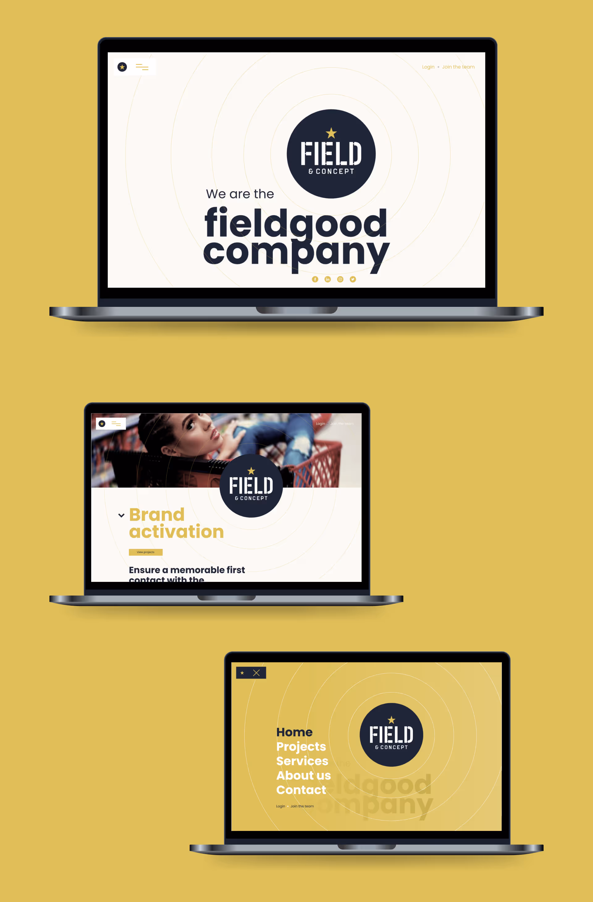 field & concept