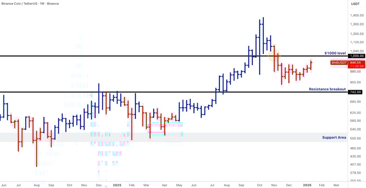 market pulse 0119 - 8