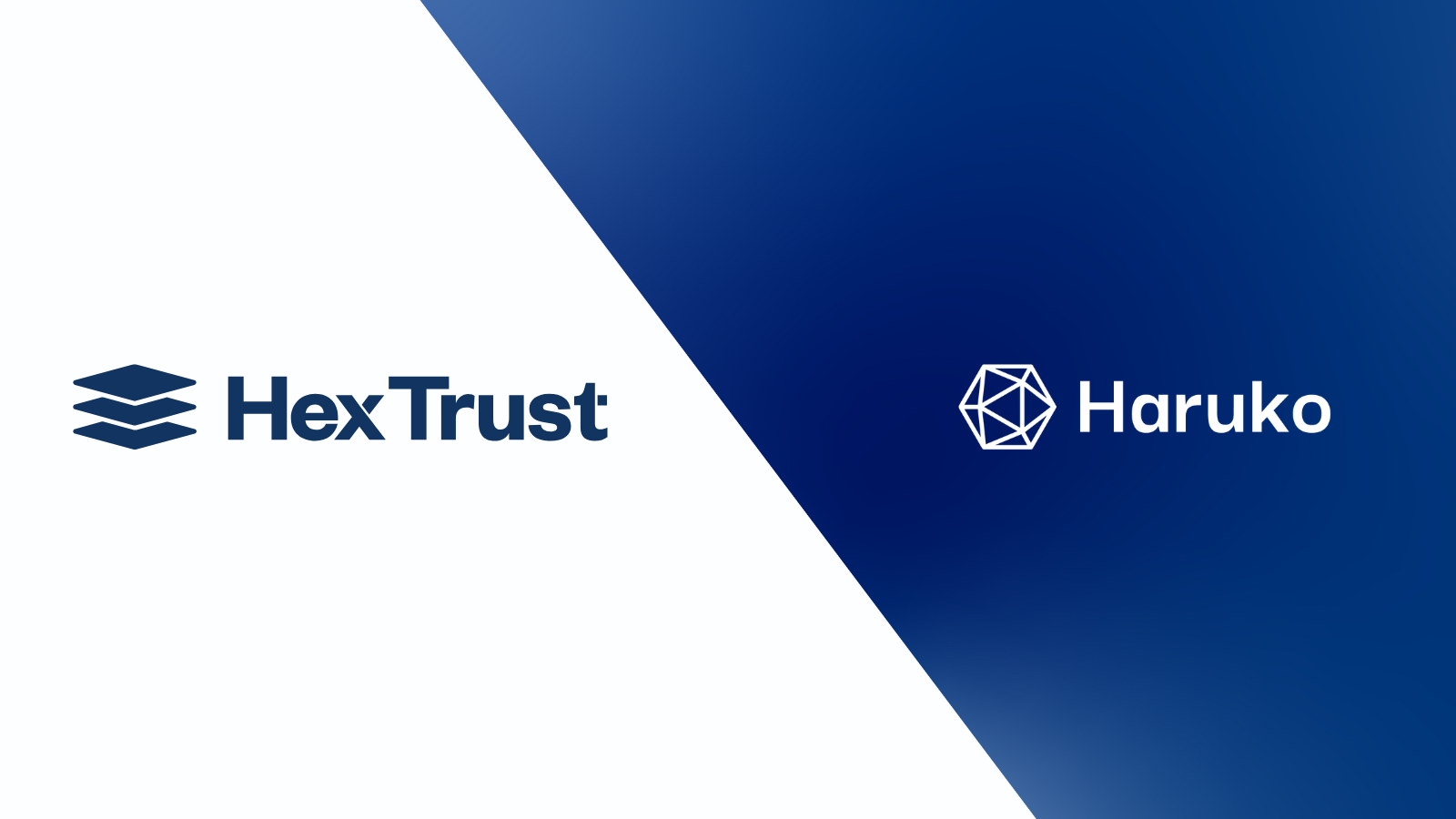 Hex Trust and Haruko Architect Real-Time Risk Governance for Institutional Digital Assets