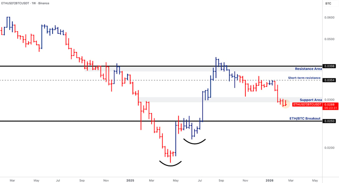 market pulse 0223 - 6