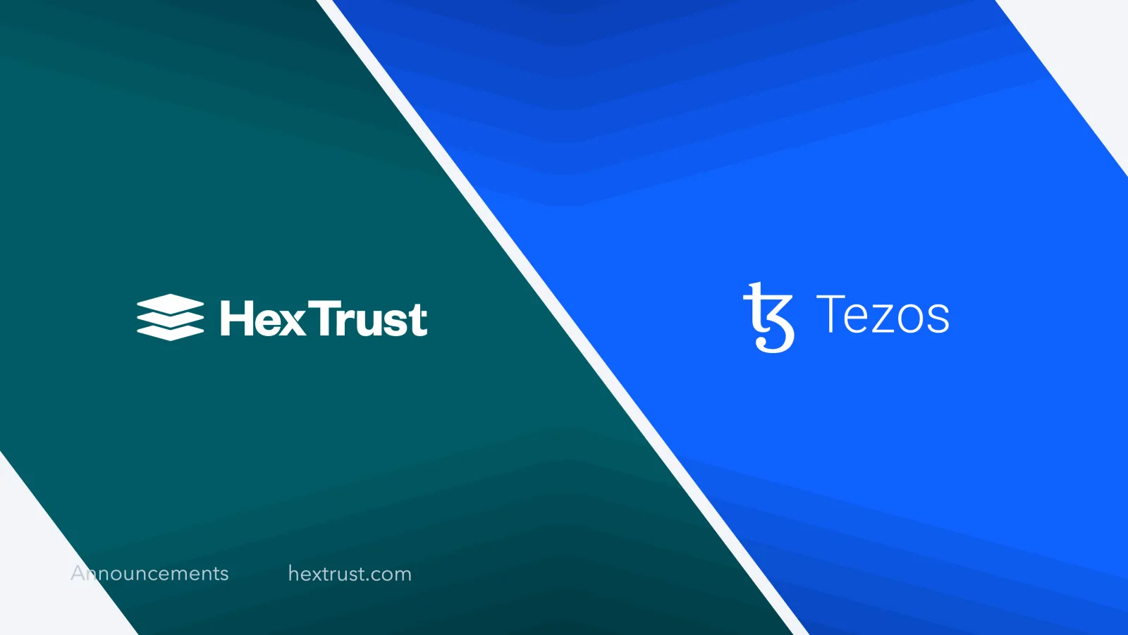 Hex Trust Integrates Tezos & Supports Staking/Baking