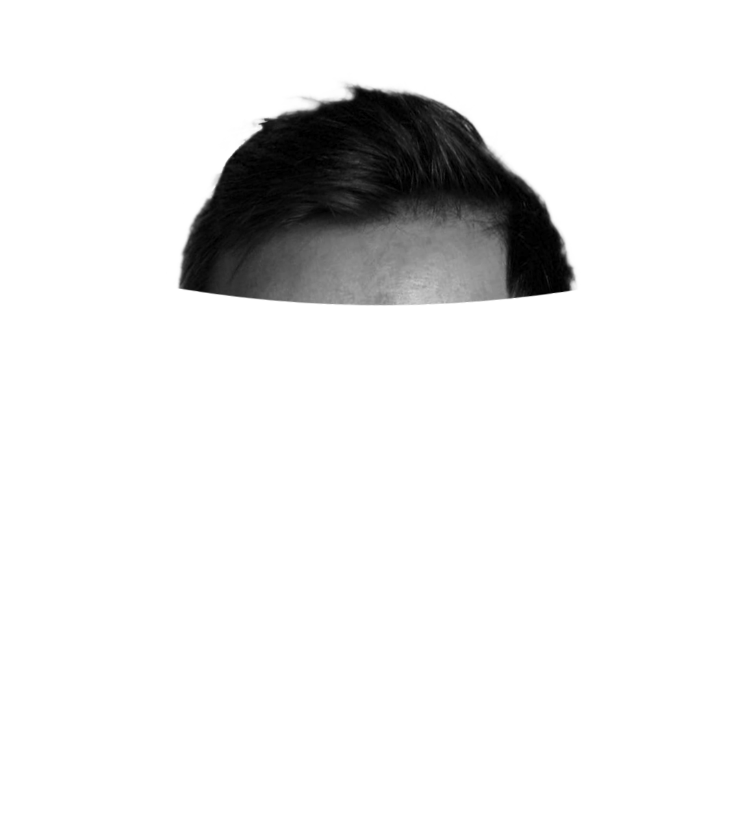 Teil einer grafischen Fotomanipulation. Die Haare von Mads Rechenburg.