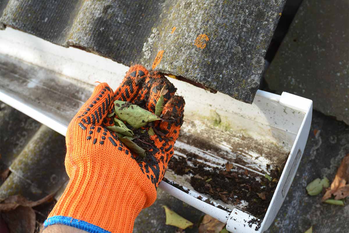 Gutter cleaning in progress