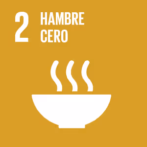 White icon of a steaming bowl representing zero hunger on a mustard yellow background with text '2 Hambre Cero'.